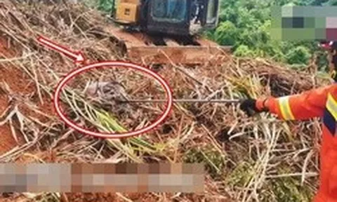 Đang dọn cỏ, người đàn ông lạnh gáy khi thấy "khối đen" ngọ nguậy: Lực lượng chức năng nhanh chóng có mặt