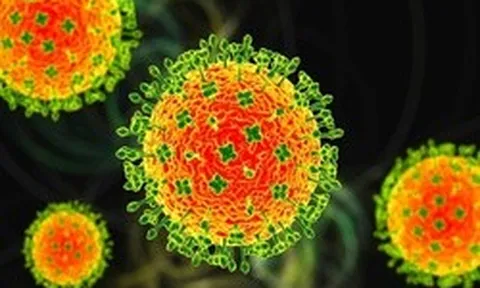 Căn bệnh khiến Thái Lan cảnh báo khẩn: Bộ Y tế khuyến cáo người dân 8 biện pháp phòng chống