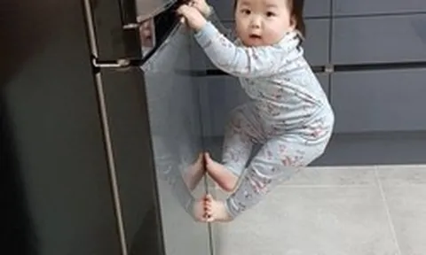 Trẻ càng khó nuôi lại càng thông minh? Hé lộ 3 đặc điểm phá phách của trẻ IQ cao