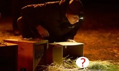 Loài vật từng bị tuyên bố tuyệt chủng bất ngờ "sống lại" sau 30 năm: Khoảng 100 cá thể đã trở về