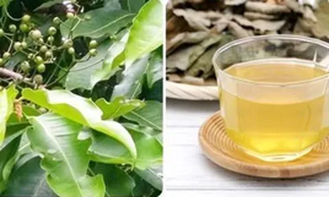 Những người không nên uống nước vối