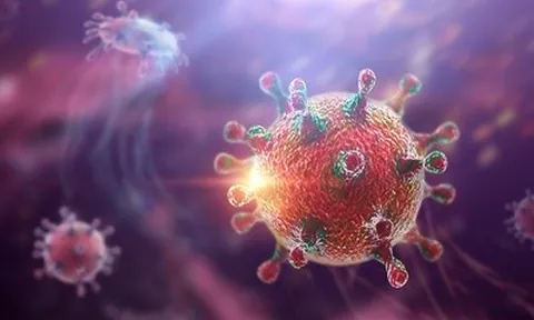 Việt Nam chưa ghi nhận ca mắc bệnh do virus Hanta, Bộ Y tế đưa ra 5 khuyến cáo