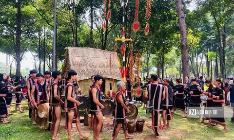 Gia Lai trước cú hích Năm Du lịch Quốc gia - Kỳ 2: Kích hoạt "mỏ vàng mềm"