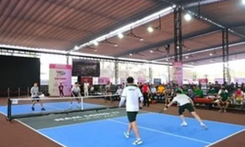 Chơi Pickleball, nhiều người nhập viện vì suy giảm thị lực, có trường hợp còn mù vĩnh viễn