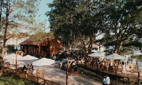 Thông Zeo, Đồi Mặt Trời hoạt động thế nào trước khi vướng lao lý?
