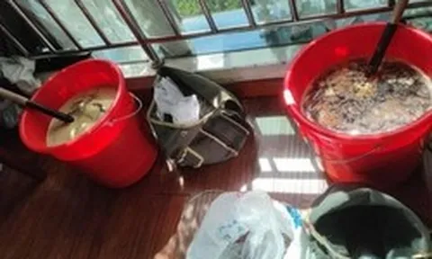 Đột kích 1 khách sạn, công an bắt giữ 2 người, tịch thu hơn 100 kg mật ong giả