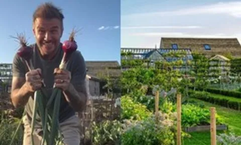 Căn nhà để nuôi gà của David Beckham