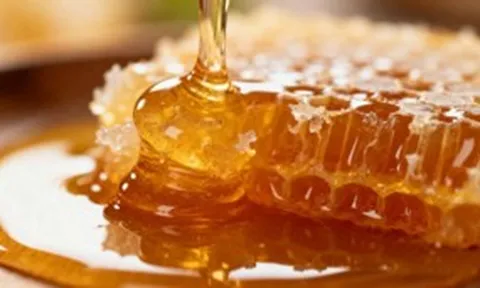 Những sự thật thú vị về mật ong trong BONCHA
