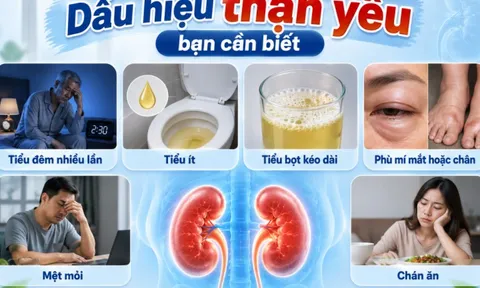 5 cách cải thiện thận yếu đơn giản tại nhà