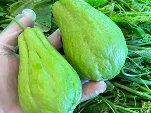 Không phải dưa chuột, tháng 9 nên ăn nhiều 7 loại "rau củ vàng" này để bù nước cho cơ thể: Ngon, bổ dưỡng lại không tốn kém