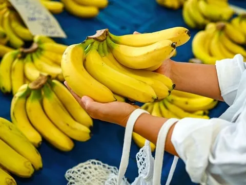 Chuối tươi lâu suốt 26 ngày khi được bảo quản theo cách này: Không phải bọc cuống