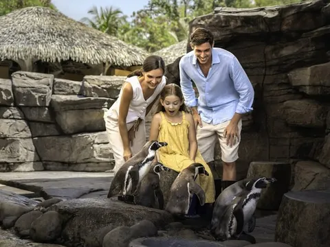 Bali, hành trình phiêu lưu kỳ diệu - Marine Safari Bali mang đến làn sóng khám phá đại dương mới tới khu vực Đông Nam Á