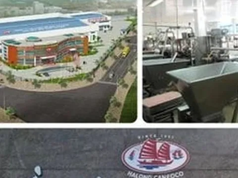 Bắt Tổng Giám đốc Công ty CP Đồ hộp Hạ Long vụ thịt nhiễm virus bệnh dịch tả heo châu Phi