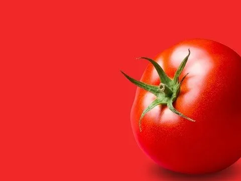 Thêm tác dụng ít ai ngờ đến của cà chua