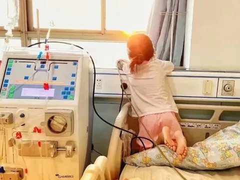 Học sinh lớp 3 qua đời sau 30 ngày phát hiện ung thư thận vì món tráng miệng mềm mềm, thơm ngọt "vạn người mê"