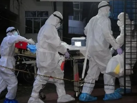 Virus Nipah bùng phát ở Ấn Độ, TP.HCM ra thông báo mới