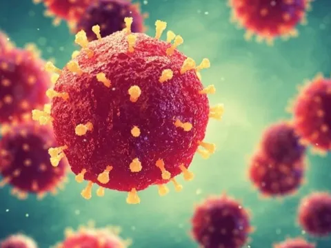 Bộ Y tế phát khuyến cáo về vi rút Nipah