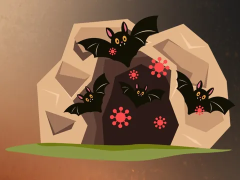 Virus Nipah - mối liên hệ giữa môi trường, động vật hoang dã và sức khỏe con người