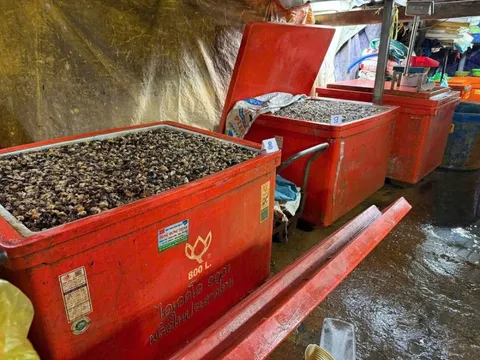 Rúng động đường dây 'phù phép' 3.000 tấn thịt ốc bằng hóa chất công nghiệp