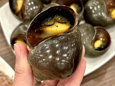 Ăn ốc bươu ngâm 'thủy tinh lỏng' độc hại thế nào?