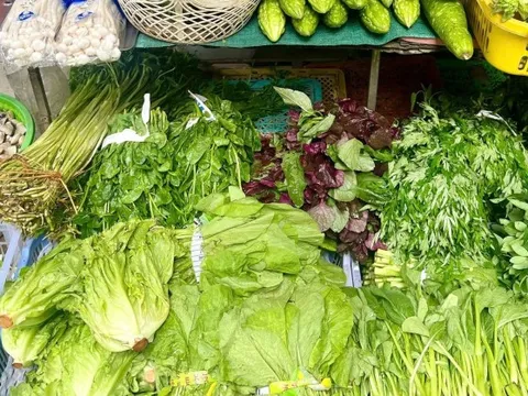 Loại rau tốt bậc nhất thế giới, bổ ngang nhân sâm tổ yến, chợ Việt bán đầy từ 15.000 đồng/kg