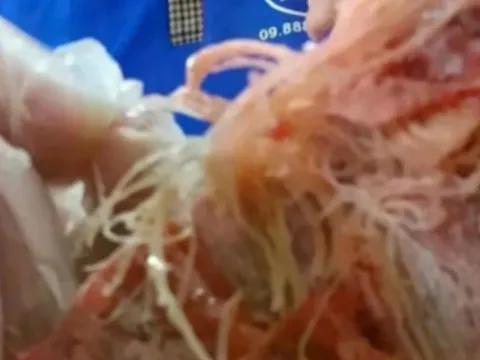 Vụ nghi thịt bẩn vào hàng loạt trường ở TPHCM: 'Hiệu trưởng bủn rủn tay chân'