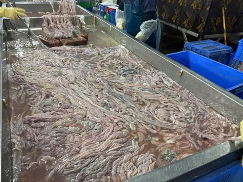 Phát hiện gần 60 tấn lòng lợn bốc mùi, đổi màu bên trong kho lạnh ở Hà Nội