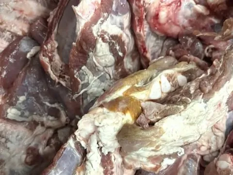 Vụ sườn heo đông lạnh "có màu lạ" đưa vào trường học: Chấm dứt hợp tác với đơn vị cung cấp thực phẩm