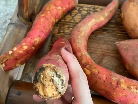 5 loại thực phẩm ngon bổ này sẽ hóa “thuốc độc” khi bị mốc, loại đầu tiên đang được bán với số lượng lớn: Nếu nhà bạn có, vứt bỏ ngay đi!