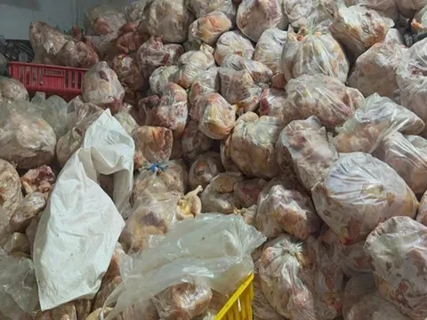 Phát hiện 10 tấn thịt gà '3 không' trong kho lạnh ở Nha Trang