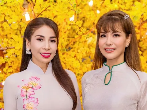 Á hậu Băng Châu và hơn 100 nghệ sĩ nhận bằng khen "Nghệ sĩ vì cộng đồng"