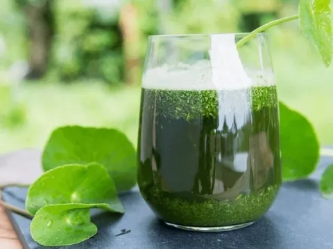 5 loại nước giúp giảm say rượu và bảo vệ gan