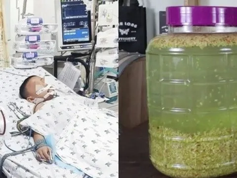 Bé 5 tháng tuổi tổn thương gan nghiêm trọng vì người lớn dùng đũa chấm vào rượu cho bé nếm thử