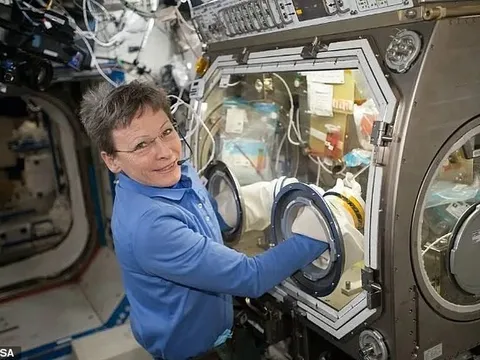 Sinh con ngoài không gian: Thách thức mới của nhân loại