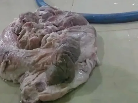 Vụ nghi thịt bẩn tuồn vào trường học: Sở An toàn thực phẩm TPHCM lên tiếng