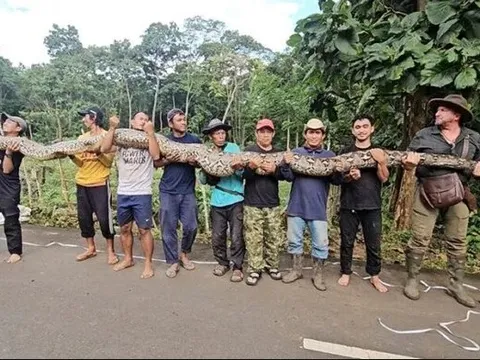 Vô tình bắt được "quái thú" dài hơn 7m, nặng gần 100kg: Guinness tìm tới tận nơi trao chứng nhận