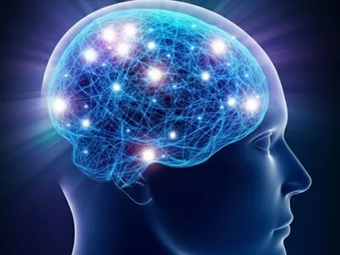 Phát hiện “công tắc" đảo ngược lão hóa