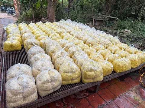 Trộn chất gây ung thư vào gần 2 tấn riềng xay bán ra chợ ở Bắc Ninh