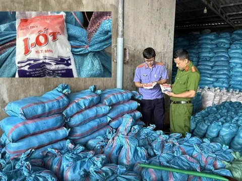 Nữ giám đốc gần 70 tuổi vẫn điều hành đường dây bán muối I-ốt giả, tung ra thị trường 1.700 tấn một năm