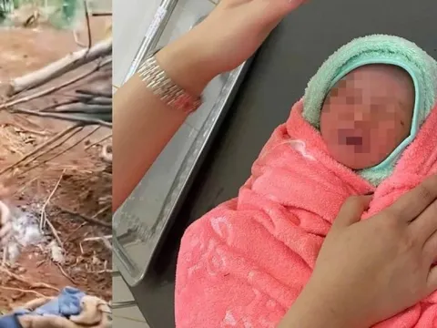 Vụ bé gái còn nguyên dây rốn, bị kiến bu giữa rẫy: Mẹ 17 tuổi nhận tự sinh rồi bỏ con vì hoảng sợ