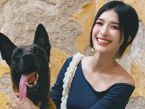 Cả MXH Việt chán ghét 1 mỹ nhân cực xấu tính: Ngoại tình còn giả vờ thanh cao, tham lam ích kỷ không ai bằng