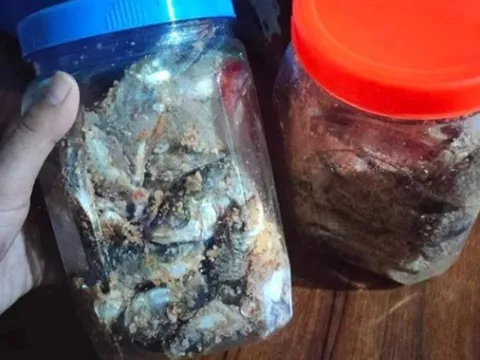 Nghi ngộ độc sau khi ăn cá ủ chua ngày cận Tết