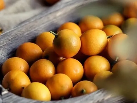 Loại cây "may mắn" ngày Tết của người Việt hóa ra quả cũng là vị thuốc bổ nhuận phổi, tiêu đờm, tốt cho tiêu hóa