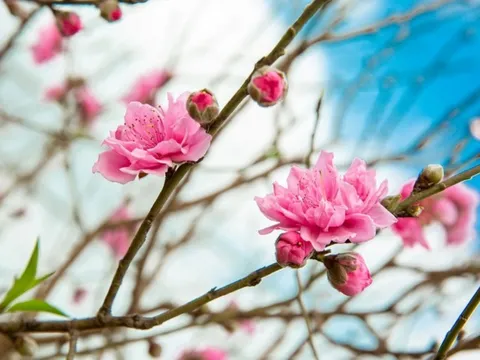 Tại sao tháng 1 gọi là tháng Giêng?