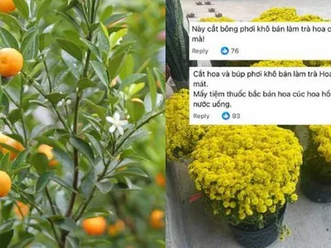 Chớ dại mà tận dụng những thứ này sau Tết kẻo ngộ độc, rước họa vào thân