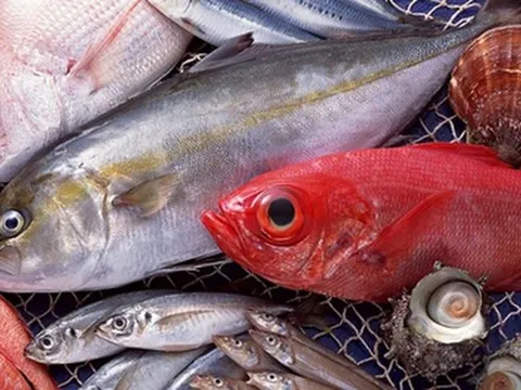 Cảnh báo: 5 loại cá có nguy cơ nhiễm kim loại nặng cao, ăn nhiều có thể hại sức khỏe