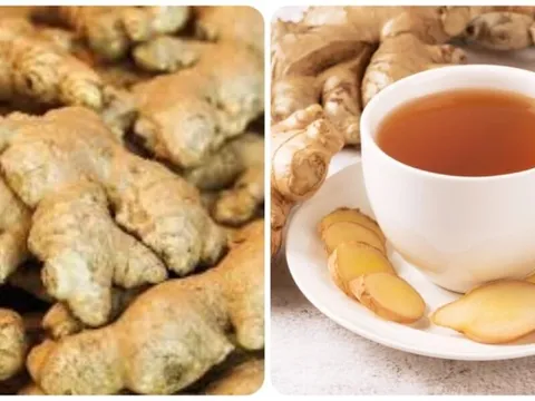 Mỗi sáng uống một cốc trà gừng cơ thể bạn sẽ nhận được những lợi ích gì?