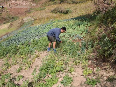 Từ lương 1,9 tỷ đồng/năm xuống còn 22 triệu đồng/tháng: Người đàn ông có học vị tiến sĩ nói mình mới là "kẻ chiến thắng" thực sự