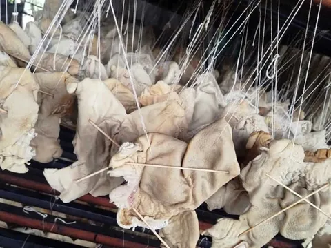 Hơn 55 tấn lòng, dạ dày và chân gà không rõ nguồn gốc trong kho doanh nghiệp ở Hải Phòng