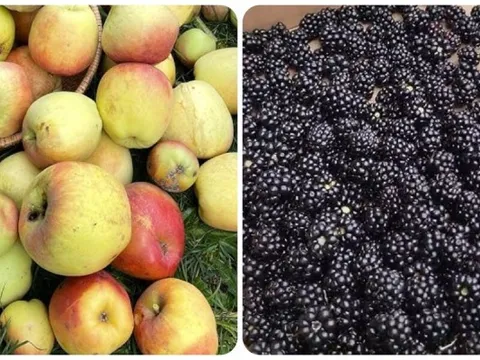 5 loại trái cây giúp 'thanh lọc' cơ thể hiệu quả nhất